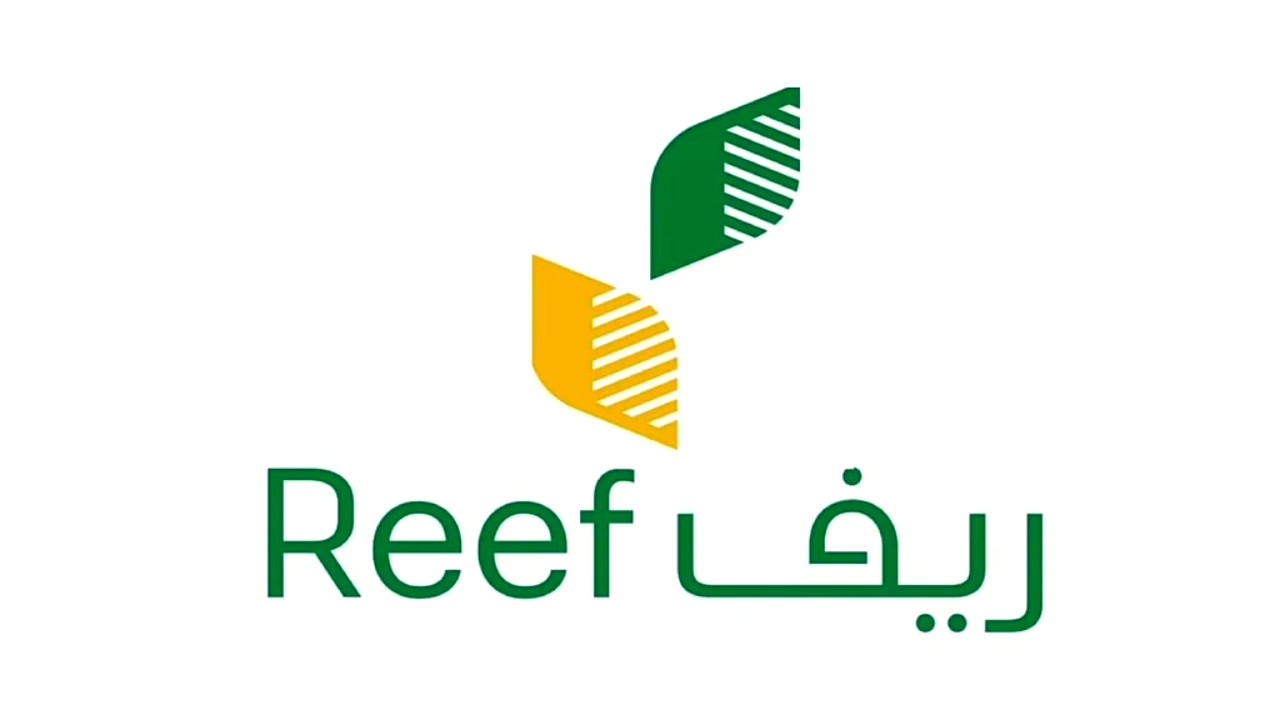 هل يؤثر دعم ريف على حساب المواطن؟.. توضيح مهم للمستفيدين