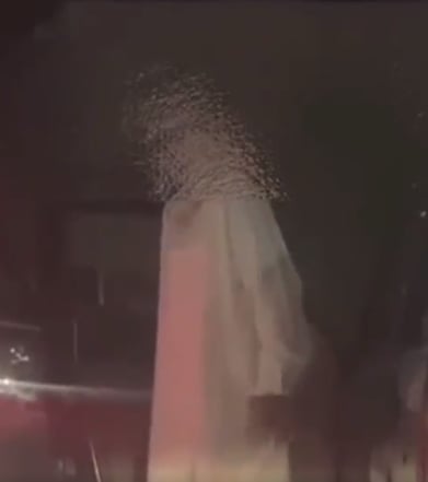 بالفيديو.. ضبط عدد من المتسولين بمنطقة الجوف