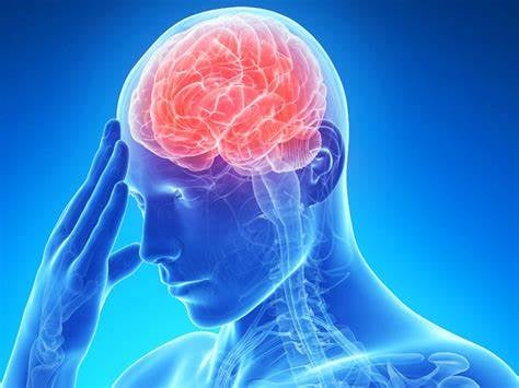 تسبب السكتات الدماغية.. أضرار كثرة تناول الدهون المشبعة
