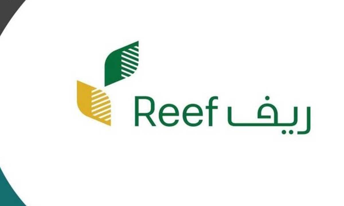 هل يمكن إلغاء دعم ريف خلال فترة "قيد الدراسة"؟ البرنامج يُجيب