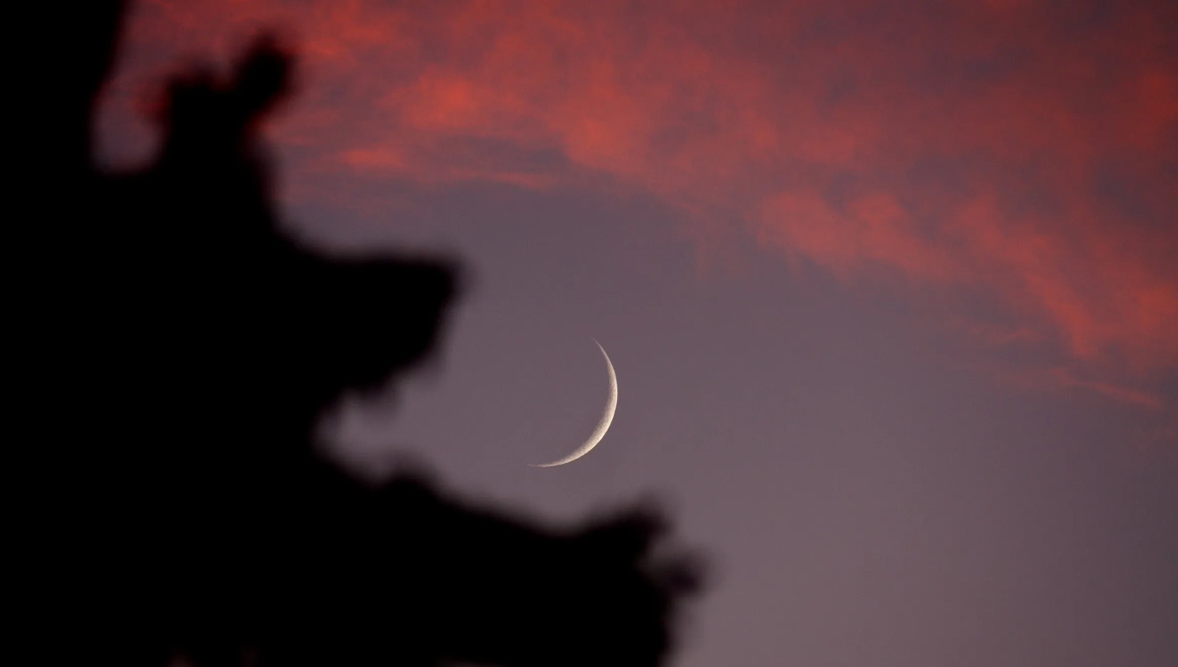 بالفيديو.. رائي فلكي: شهر رمضان يوم الخميس المقبل.. حسب المعطيات 
