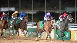 بالفيديو.. متخصص: 40 مليون دولار القيمة التقريبية للجياد المشاركة في سباق الخيل