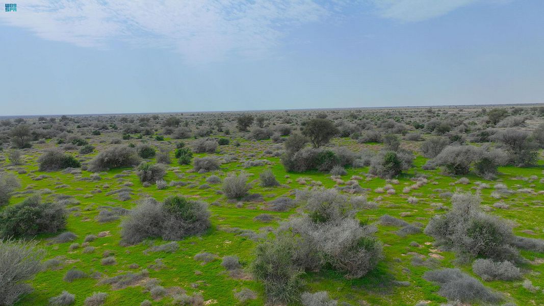 محمية الملك عبد العزيز