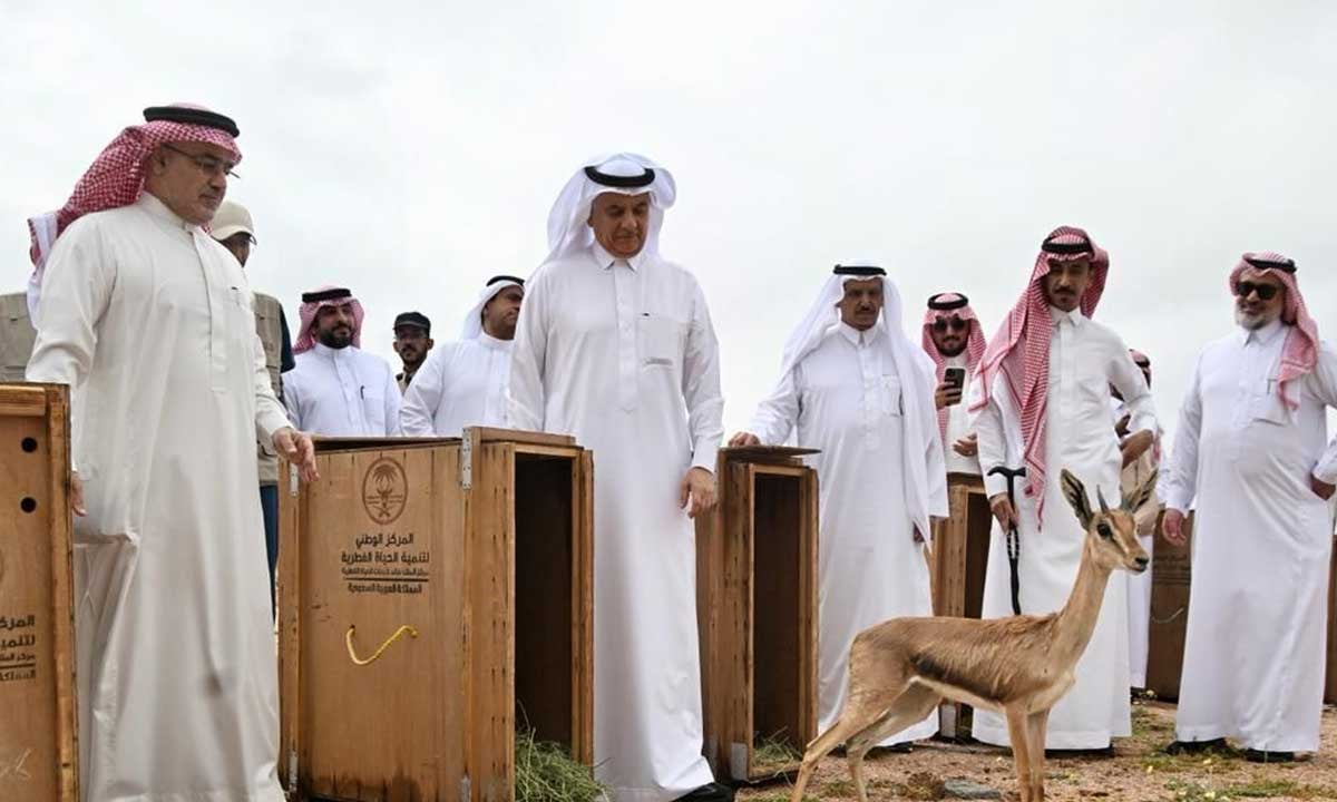 إطلاق 92 كائنًا فطريًا في متنزه البيضاء البري بالمدينة المنورة

