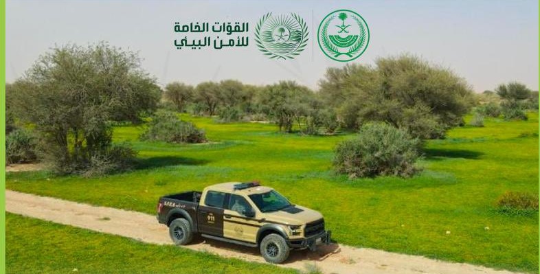ضبط 54 مخالفًا لنظام البيئة لارتكابهم مخالفات رعي 