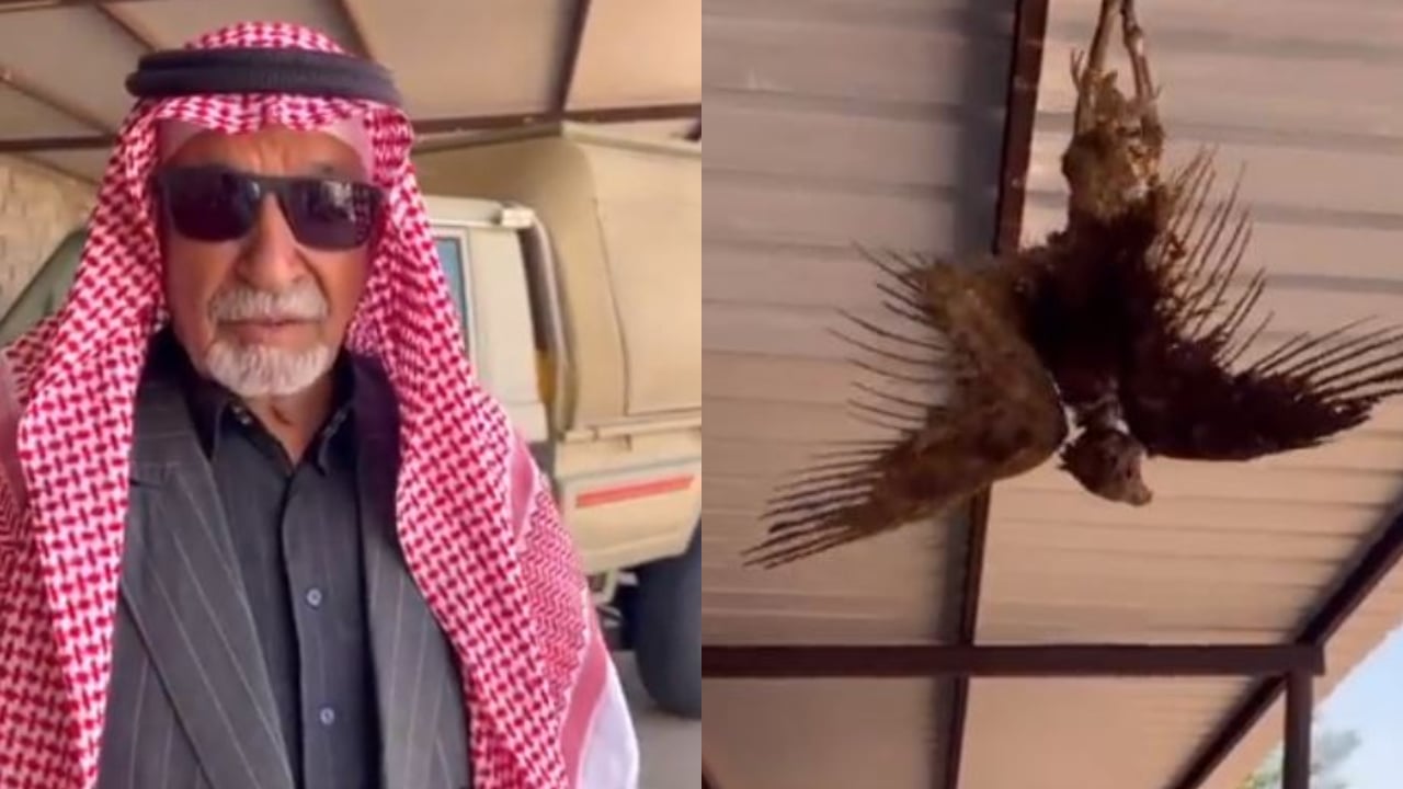 «وفاء من نوع مختلف».. أحد «الصقارة» يحتفظ بطيره المتوفى منذ 19 عاماً
