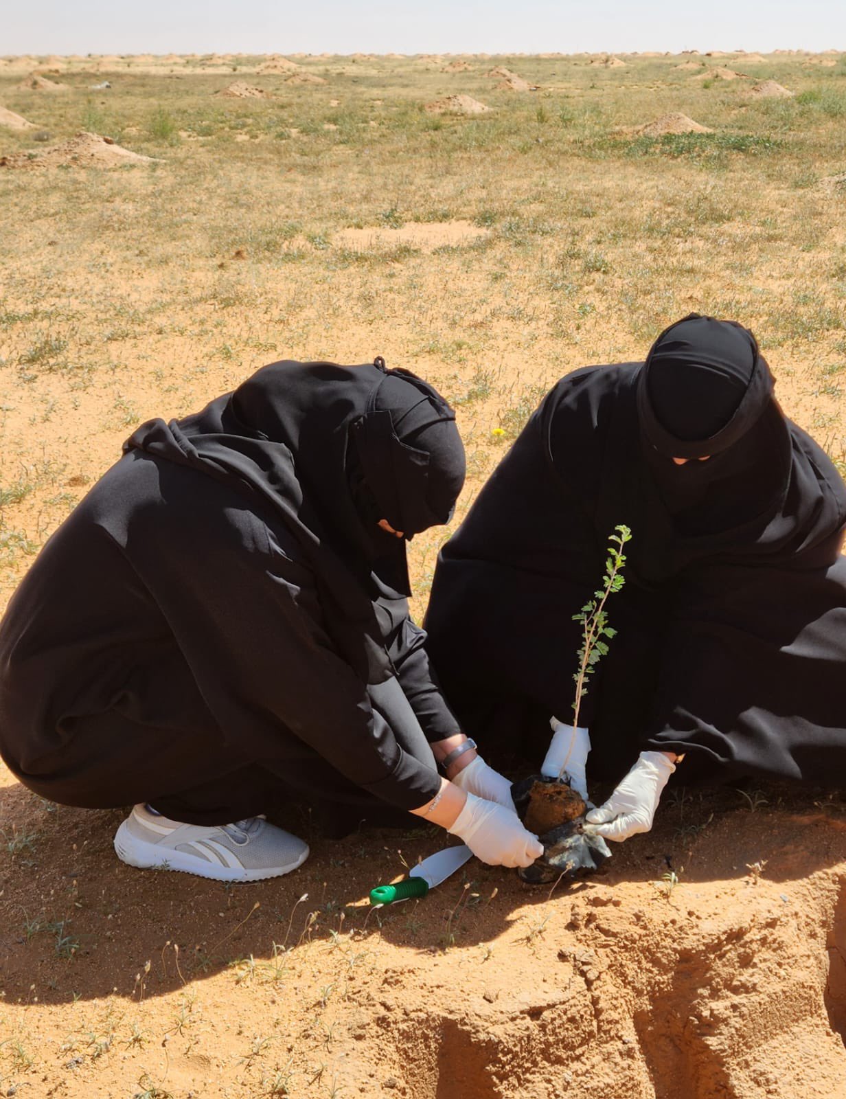 رحلة علمية إلى روضة التنهات