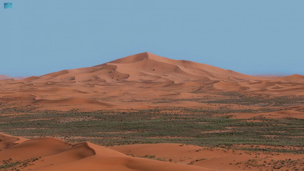 محمية الملك عبد العزيز