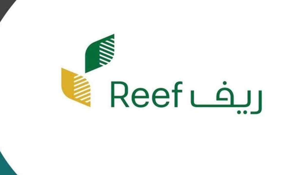 40.4 ألف امرأة ريفية مدعومة في برنامج "ريف"