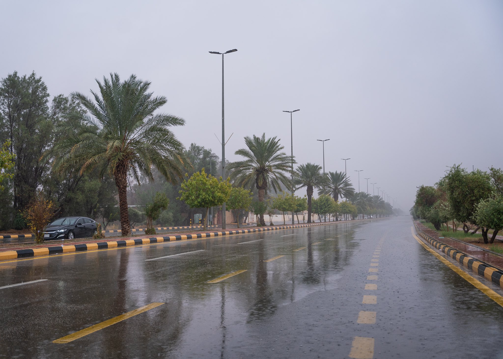 «الأرصاد» عن طقس الإثنين: أمطار رعدية وسيول بعدة مناطق 