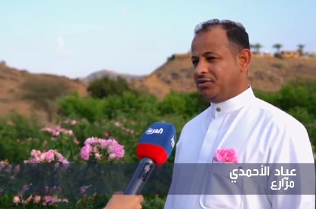 بالفيديو.. مزارع يحكي قصة تعلّقه بالورد «المديني»: نتطلع للوصول للعالمية