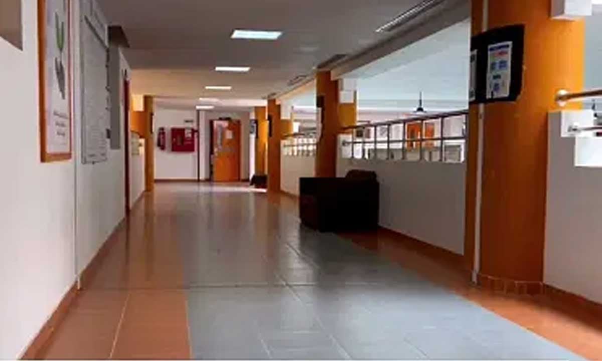 رغم التحذيرات بخصم درجات السلوك والمواظبة.. فصول شبه خالية من الطلاب بعد العودة من إجازة عيد الفطر (فيديو)
