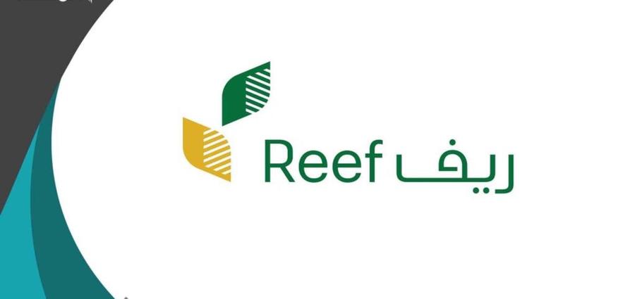 هل يؤثر برنامج حساب المواطن على دعم «ريف»؟