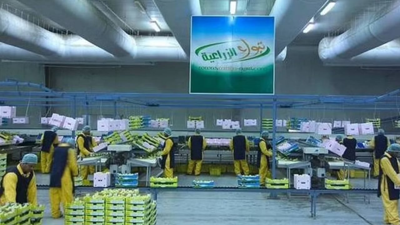 «تبوك الزراعية» تقرر عدم توقيع الاتفاق النهائي مع شركة المخازن المساندة 
