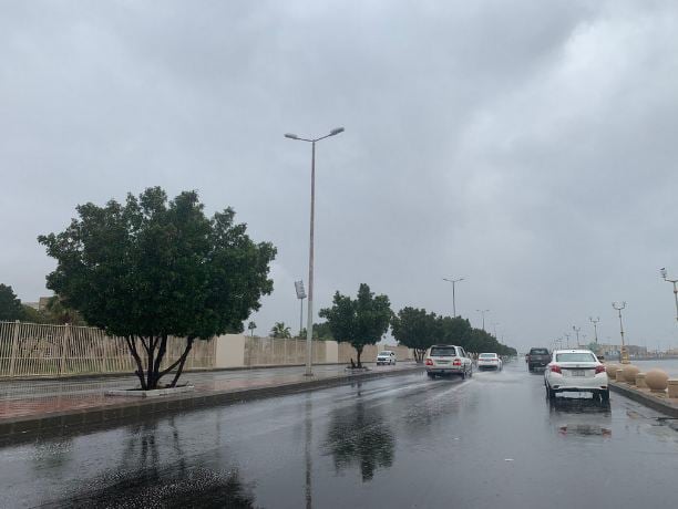 أمطار رعدية وأتربة.. تفاصيل حالة الطقس اليوم في المملكة