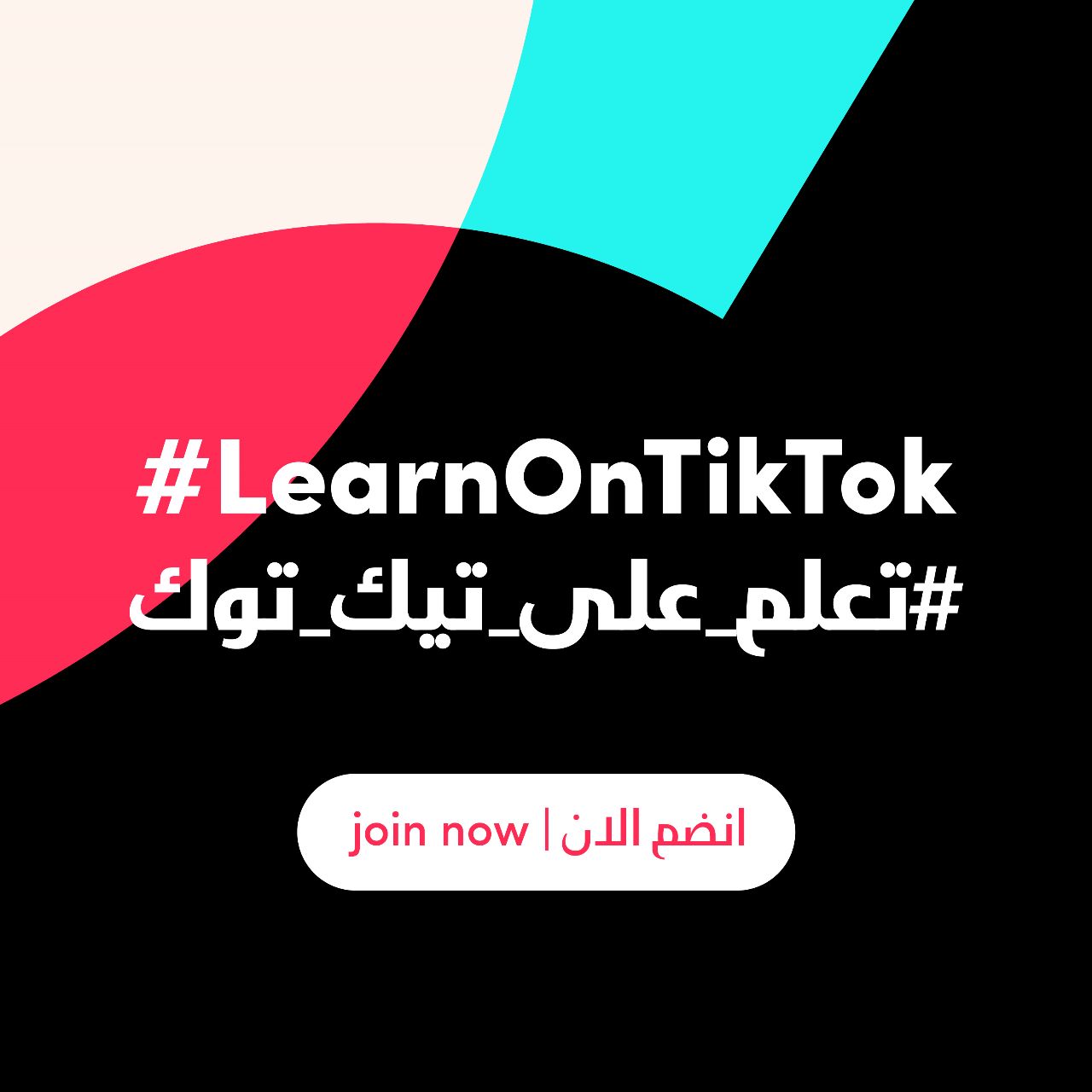 تيك توك يعيد كتابة سيناريو التعلم.. "LearnOnTikTok" يحدث ثورة في التعليم