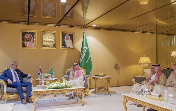 وزير الخارجية يستعرض مع نظيره بالنرويج وكرواتيا  تعزيز العلاقات الثنائية