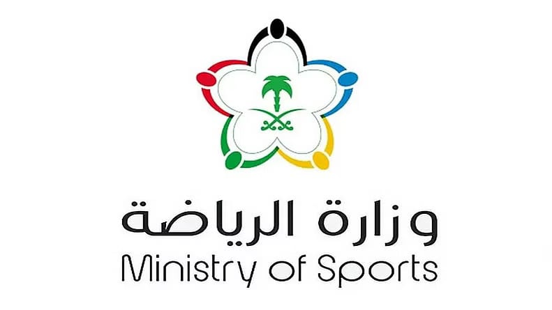 بعد قرار التخصيص.. «الرياضة» تكشف دور المؤسسات غير الربحية للأندية والجدول الزمني للانتخابات