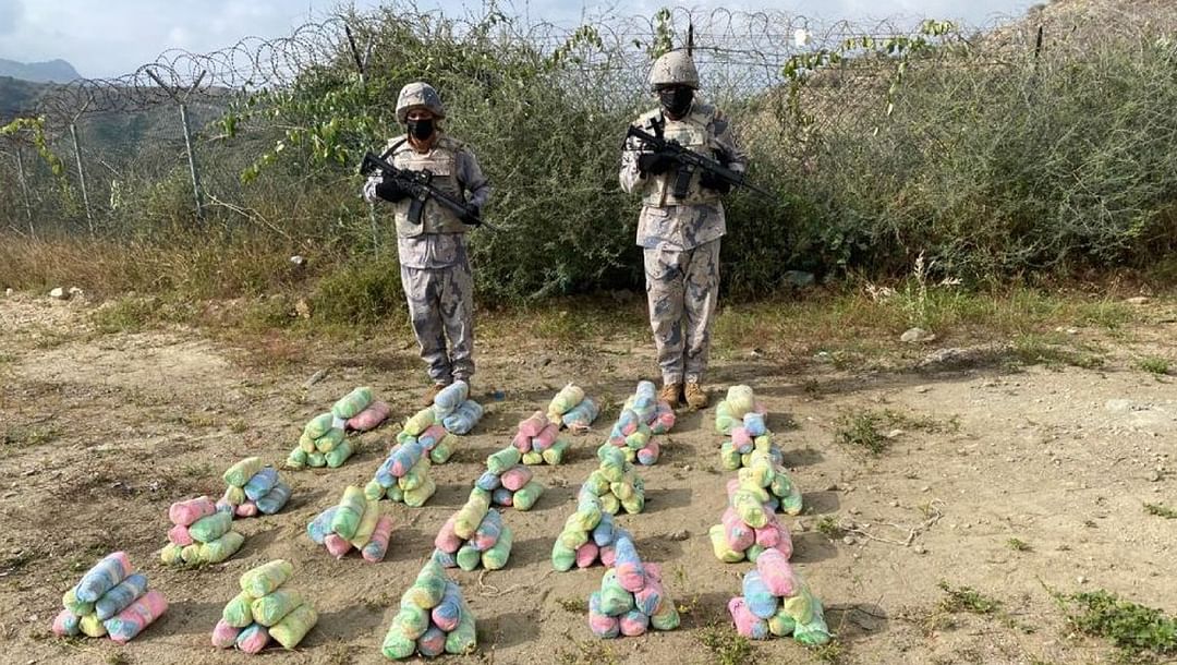 إحباط تهريب 165 كيلوجرامًا من نبات القات المخدر بجازان