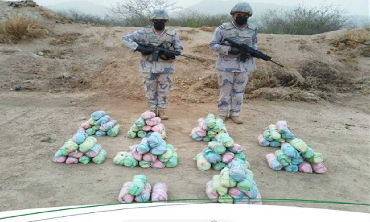 حرس الحدود بجازان يحبط تهريب 74 كيلو جرامًا من نبات القات المخدر
