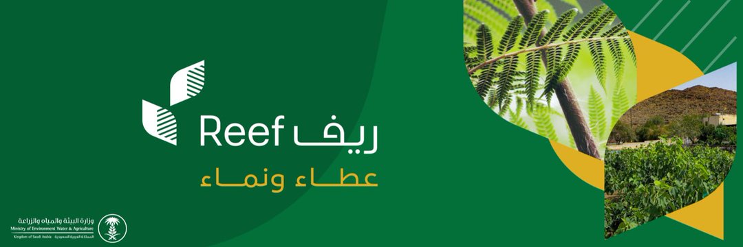 «ريف»: دعم قطاع الفواكه بالمناطق الريفية أسهم في ارتفاع إنتاجها إلى 90 ألف طن
