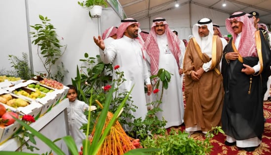 "تيماء" تحتضن مهرجان المنتجات الزراعية الأول بالمحافظة