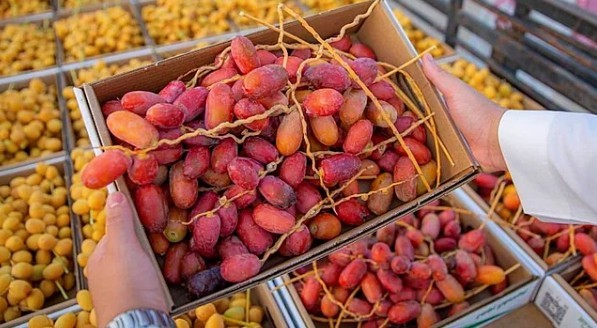 4 ملايين ريال مبيعات التمور بمهرجان البكيرية 