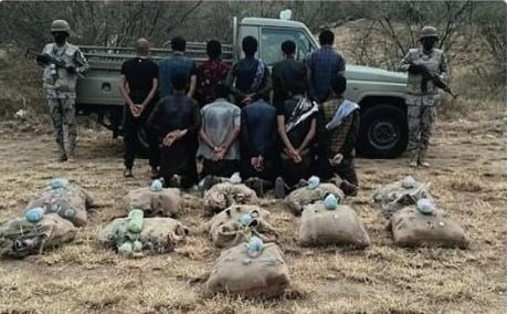 حرس الحدود يحبط تهريب 49 طن قات و437 كيلو جرام حشيش و149 ألف قرص مخدر في 4 مناطق