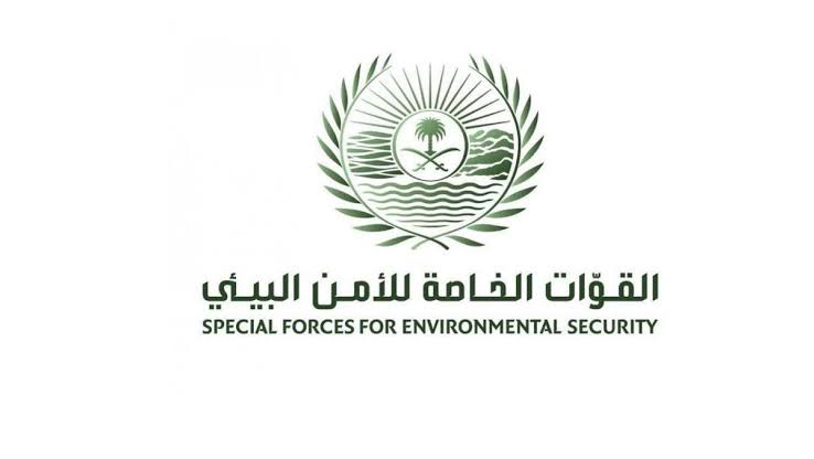 ضبط مخالفَين لنظام البيئة لإشعالهما النار بأراضي الغطاء النباتي