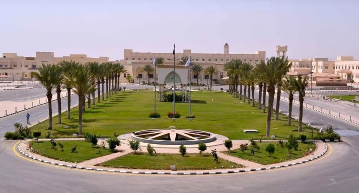 جامعة الطائف تنظم حملة في 20 روضة تعليمية حول التحكم بحساسية الطعام