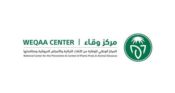 «وقاء» مكة يكافح الجراد في 41 موقعاً بالليث والقنفذة