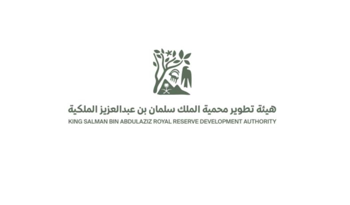 محمية الملك سلمان الملكية: انتهاء المهلة المحددة لإخراج الإبل السائبة
