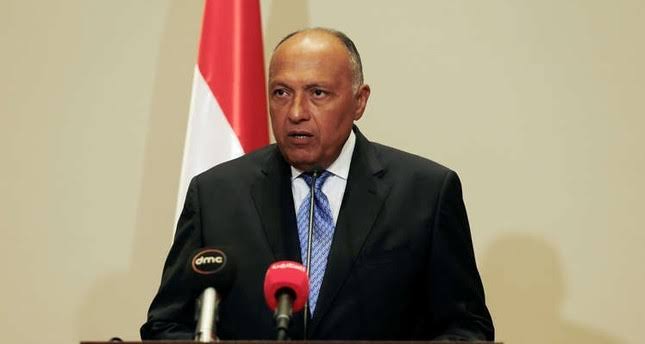 وزير خارجية مصر: تصفية القضية الفلسطينية من خلال تهجير سكان غزة أمر غير وارد
