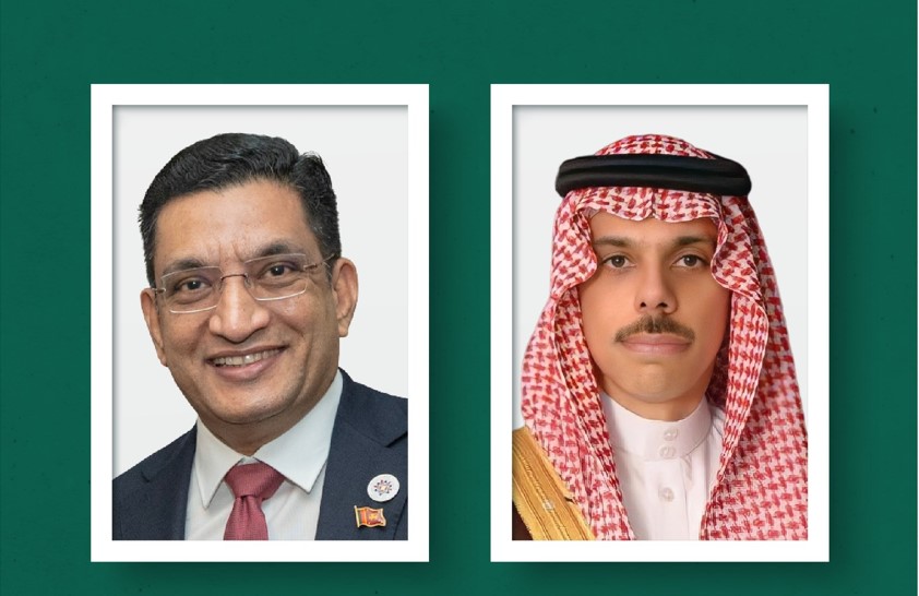 وزير الخارجية يبحث مع نظيره السريلانكي الأوضاع الخطيرة في قطاع غزة ومحيطها