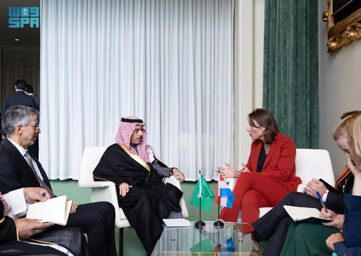 وزير الخارجية يبحث تطورات أوضاع غزة مع نظيرته الهولندية 