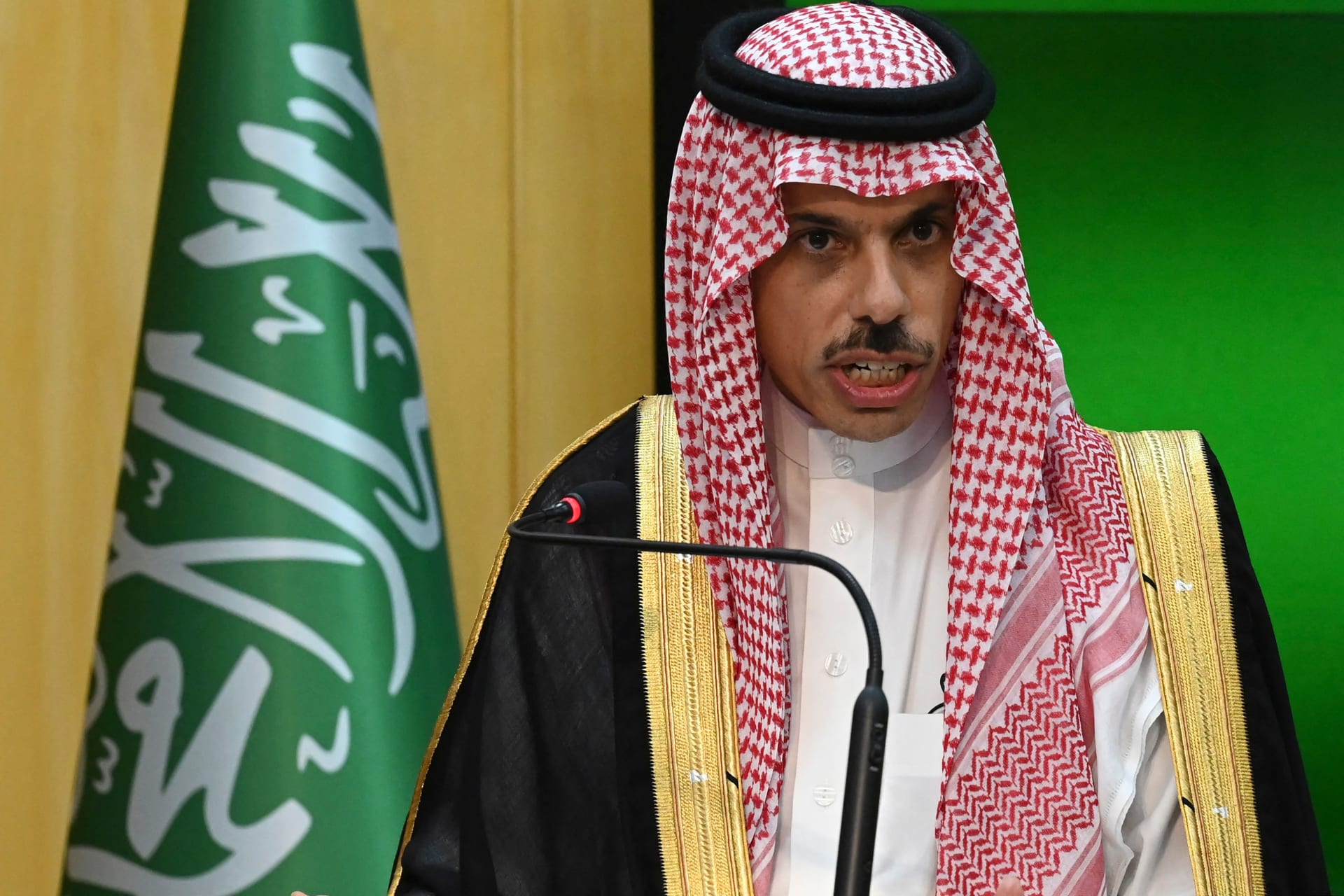 وزير الخارجية: نريد وقفًا فوريًا لإطلاق النار في غزة.. وحل الدولتين مهم لأمن المنطقة 