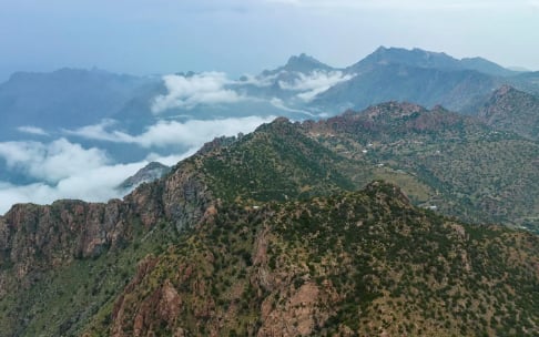 شفا الطائف.. وجهة رائدة ترتقي بالقطاع السياحي إلى آفاق الطبيعة