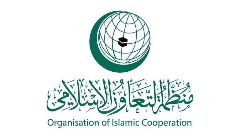 وزراء خارجية «التعاون الإسلامي» يعتمدون الخطة العربية بشأن غزة ويؤكدون رفض تهجير الفلسطينيين
