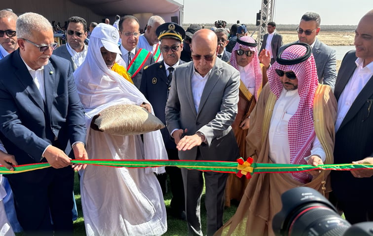 بـ 34 مليون دولار.. «السعودي للتنمية» يمول مشروعاً زراعياً بموريتانيا 