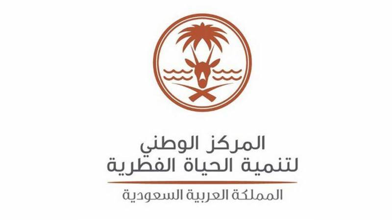 الحياة الفطرية: المحتوى المتداول لصيد "المها العربي" المهدد بالانقراض ليس في المملكة