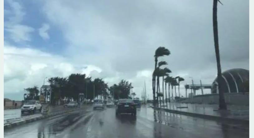 طقس المملكة الأربعاء.. استمرار هطول الأمطار وتكون الضباب على بعض المناطق