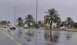 طقس المملكة اليوم.. سماء غائمة وضباب كثيف على عدد من المناطق