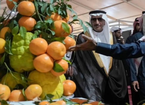 انطلاق مهرجان الحمضيات الثامن بالحريق
