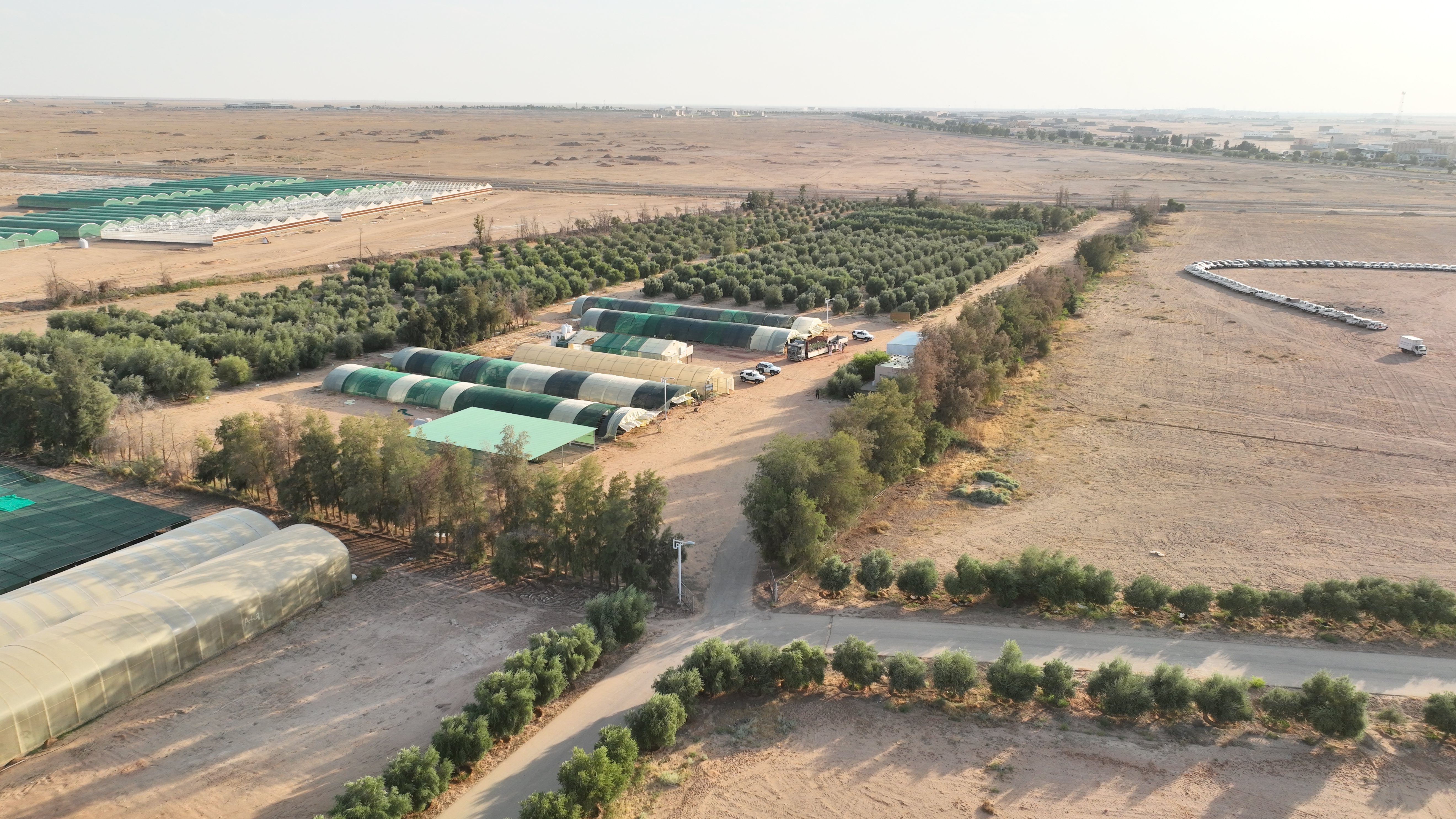 هيئة تطوير محمية الملك سلمان بن عبدالعزيز الملكية تزرع مليون شتلة محلية بالتعاون مع "تنمية الغطاء النباتي"