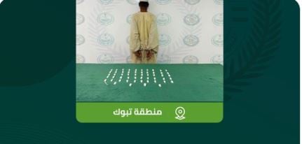 القبض على مقيم في تبوك لترويجه مادتي «الشبو» والحشيش المخدرتين