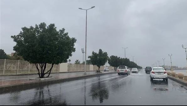 استمرار انخفاض درجات الحرارة.. حالة الطقس اليوم الأحد 15-8-1445 في المملكة