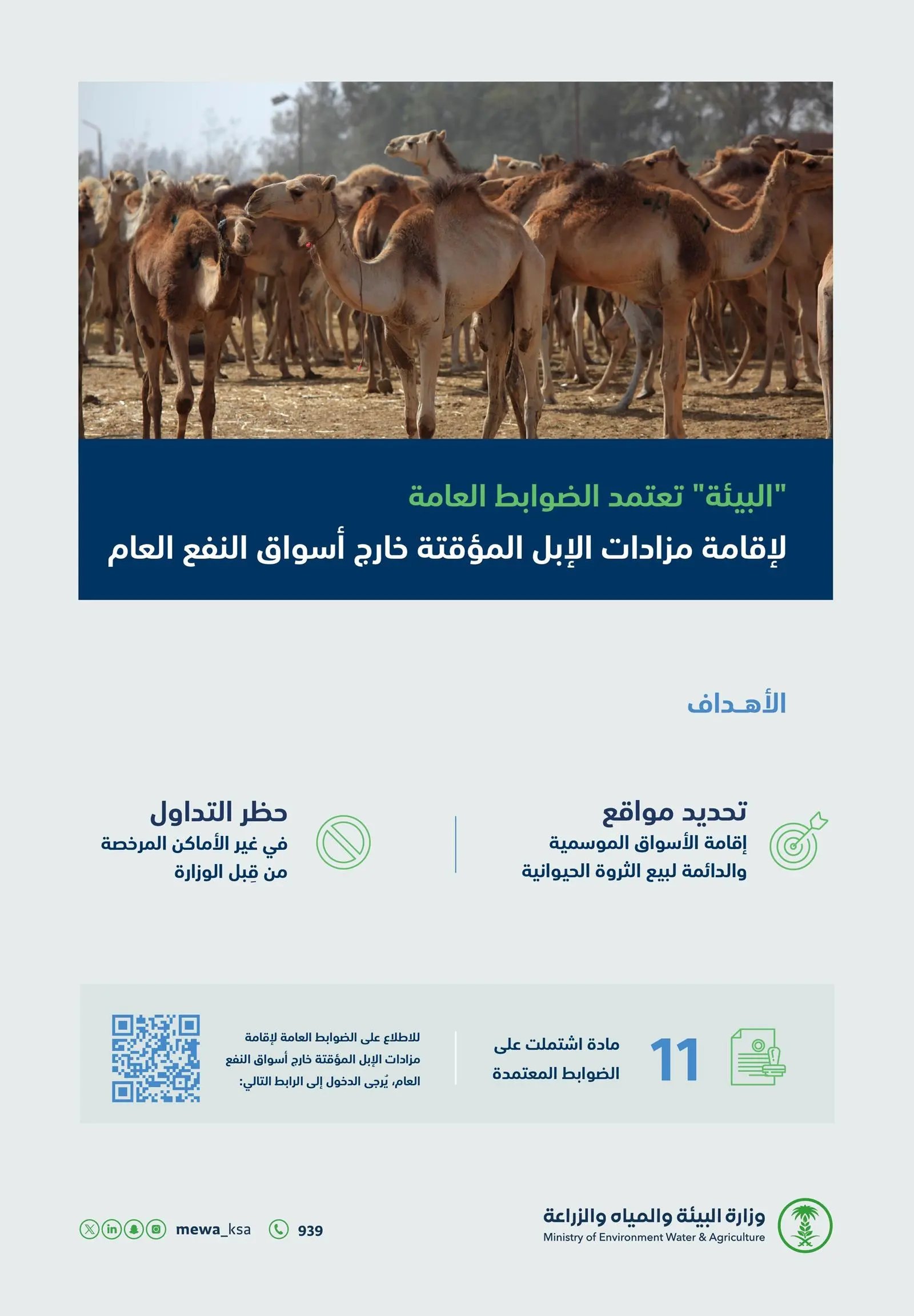  الضوابط العامة لإقامة مزادات الإبل المؤقتة خارج أسواق النفع العام