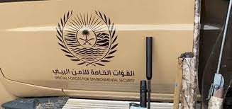 ضبط 3 مخالفين لنظام البيئة لارتكابهم مخالفتي قطع المسيجات ودخول مناطق محظورة بمحمية الإمام تركي