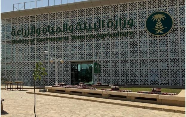 «البيئة»: فقد وهدر الخضروات سنويًا تحدي لقطاع الزراعة وزيادة الوعي أحد الحلول 