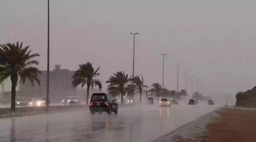 لتجنب الحوادث... المرور توضّح خطوات القيادة الآمنة أثناء المطر 